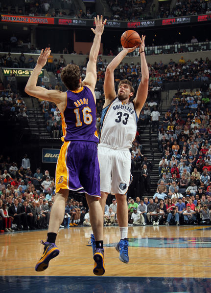 世界杯夺冠 世界杯夺冠