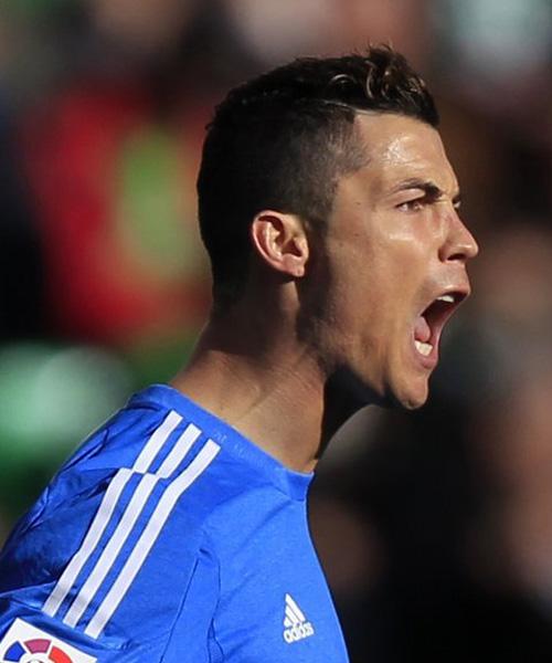 教练和球迷 教练和球迷